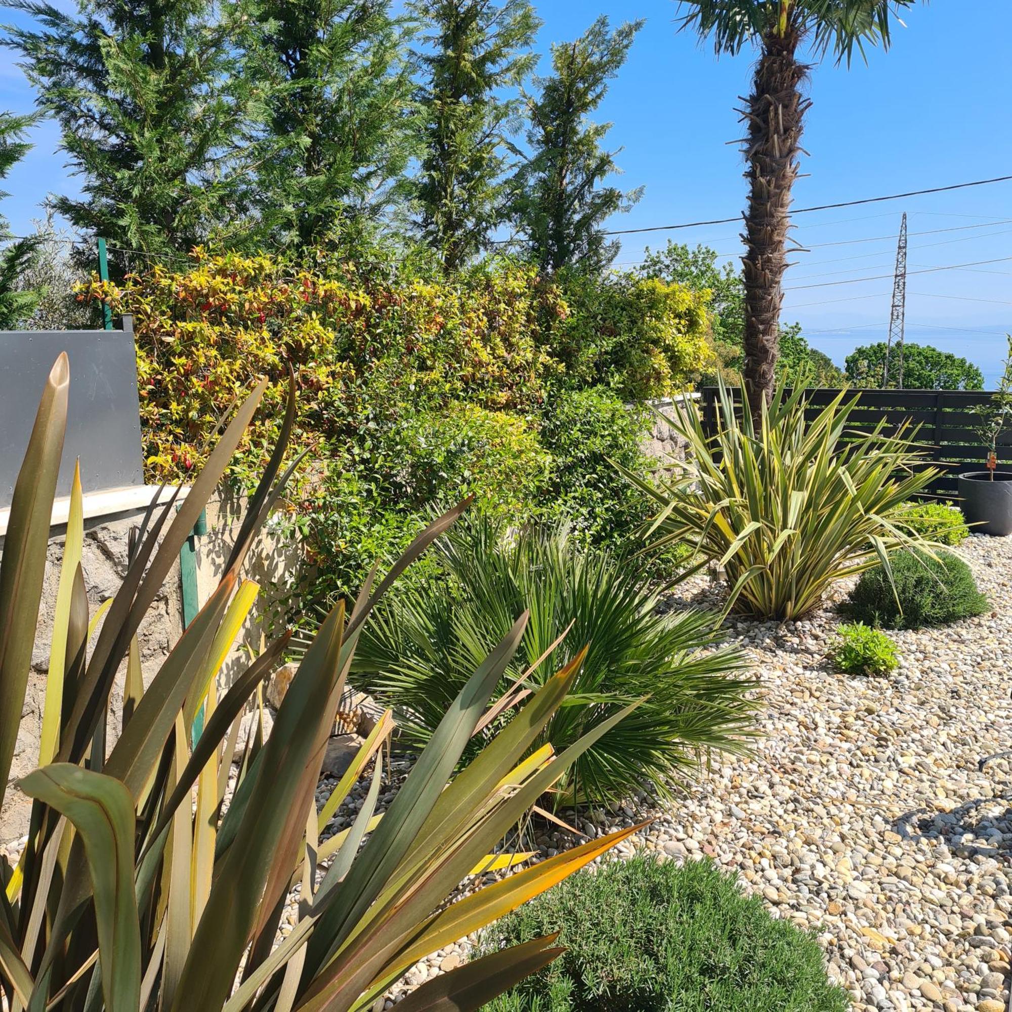 Villa Adriatic, Apartment Enio With Swimming Pool, Panoramic Sew View, Free Parking Ičići Extérieur photo